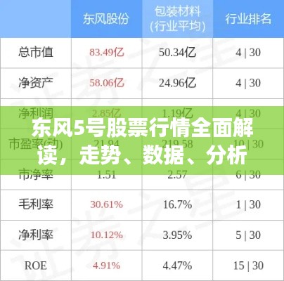 东风5号股票行情全面解读，走势、数据、分析与预测