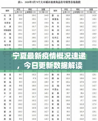 宁夏最新疫情概况速递,今日更新数据解读