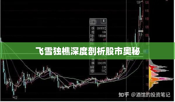 飞雪独樵深度剖析股市奥秘