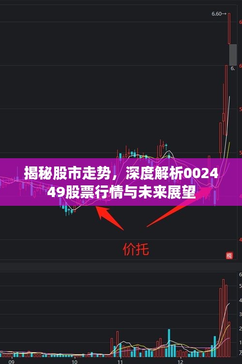 揭秘股市走势，深度解析002449股票行情与未来展望