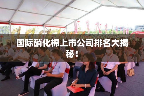 国际硝化棉上市公司排名大揭秘！