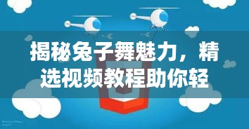 揭秘兔子舞魅力，精选视频教程助你轻松掌握