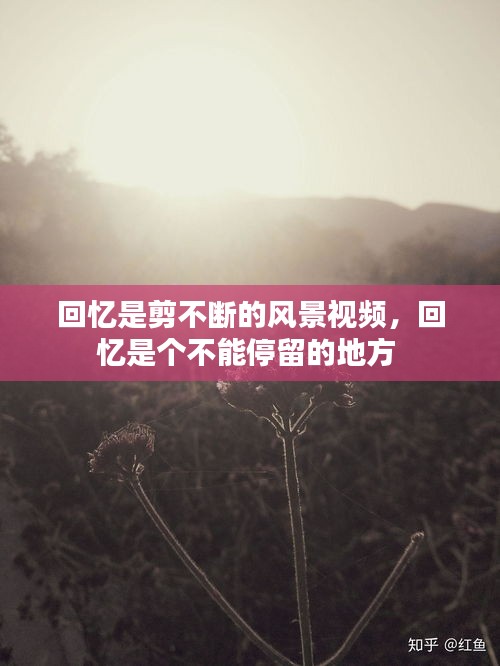 回忆是剪不断的风景视频,回忆是个不能停留的地方