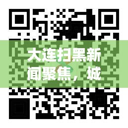 大连扫黑新闻聚焦,城市法治建设推动安全坚实步伐