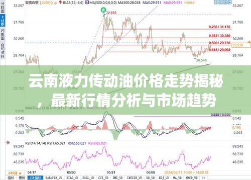 云南液力传动油价格走势揭秘，最新行情分析与市场趋势