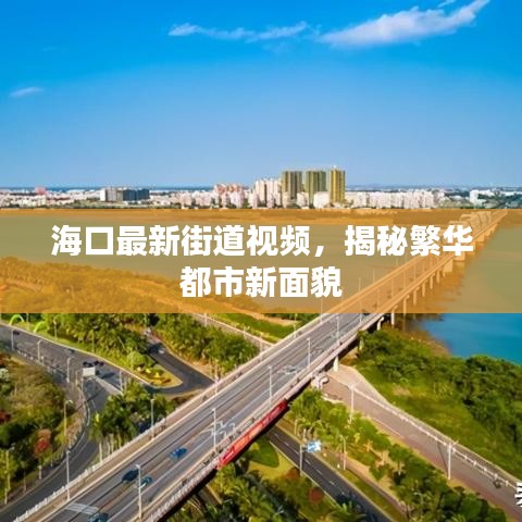 海口最新街道视频,揭秘繁华都市新面貌