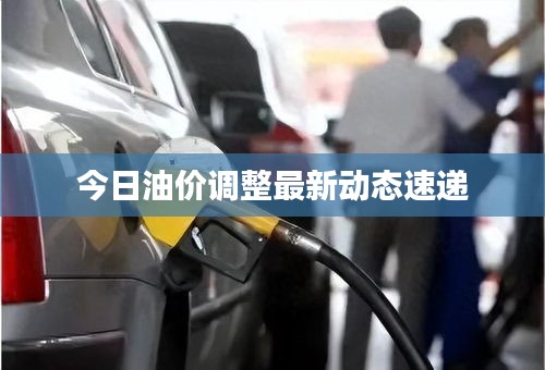 今日油价调整最新动态速递