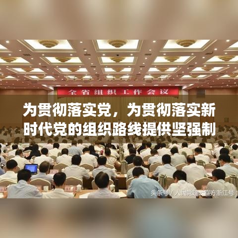 为贯彻落实党,为贯彻落实新时代党的组织路线提供坚强制度保证