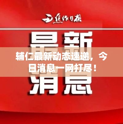 辅仁最新动态速递,今日消息一网打尽!