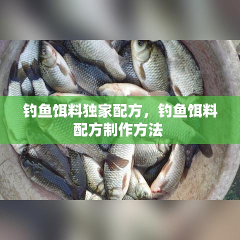 钓鱼饵料独家配方，钓鱼饵料配方制作方法 