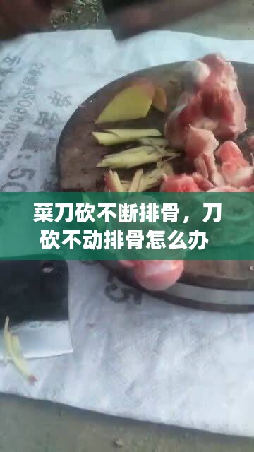 束手就缚 第2页