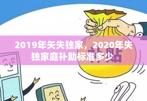 2019年矢失独家，2020年失独家庭补助标准多少 