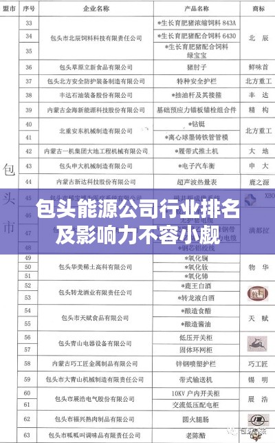 包头能源公司行业排名及影响力不容小觑