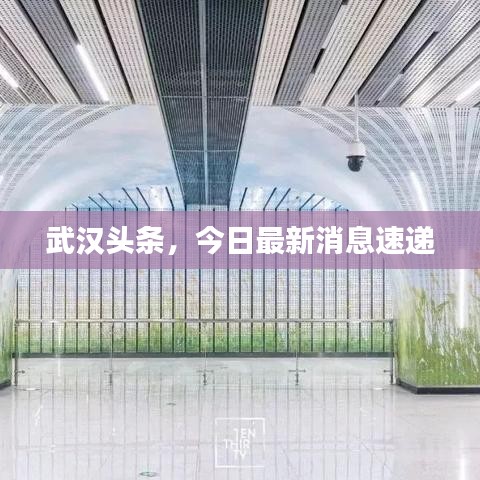 武汉头条，今日最新消息速递
