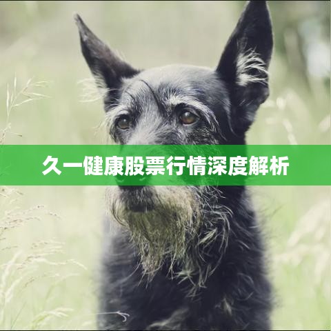 矫枉过正 第2页