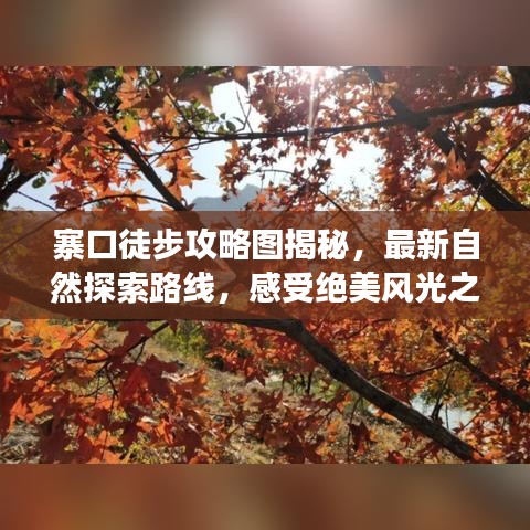 寨口徒步攻略图揭秘，最新自然探索路线，感受绝美风光之旅