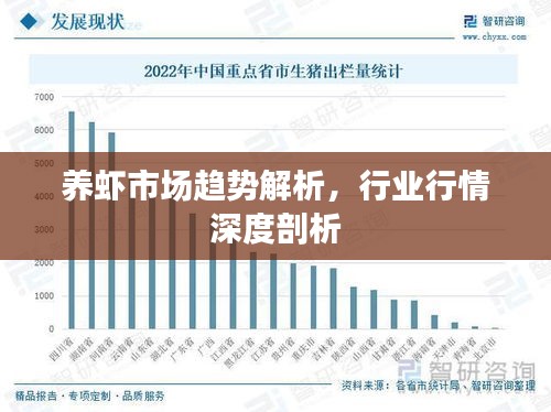 养虾市场趋势解析，行业行情深度剖析