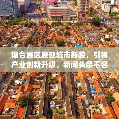 合同样本 第73页