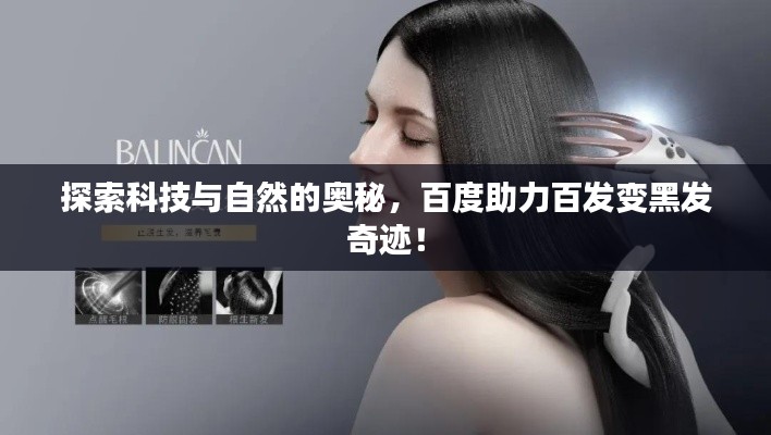 一心一意 第2页