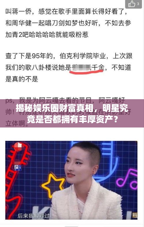 揭秘娱乐圈财富真相，明星究竟是否都拥有丰厚资产？